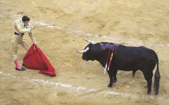 bullfighting fail