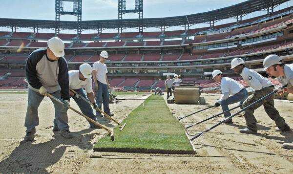 Busch Stadium gets new grass for 2022 season