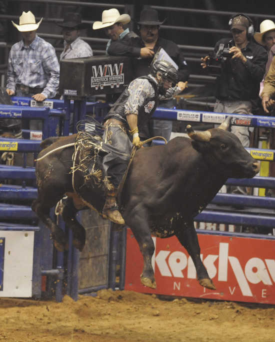 bull riding Archives - Smith and Edwards Blog