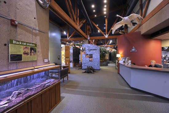 cape girardeau conservation center