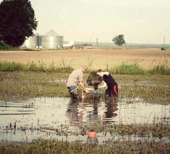 Producer meetings offer crawfish raising tips - Rice Farming